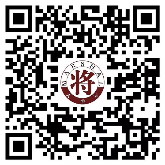 攻略丨了解多姿多彩的瓷磚紋理，才能裝出時尚有范的美好生活！
(圖14)